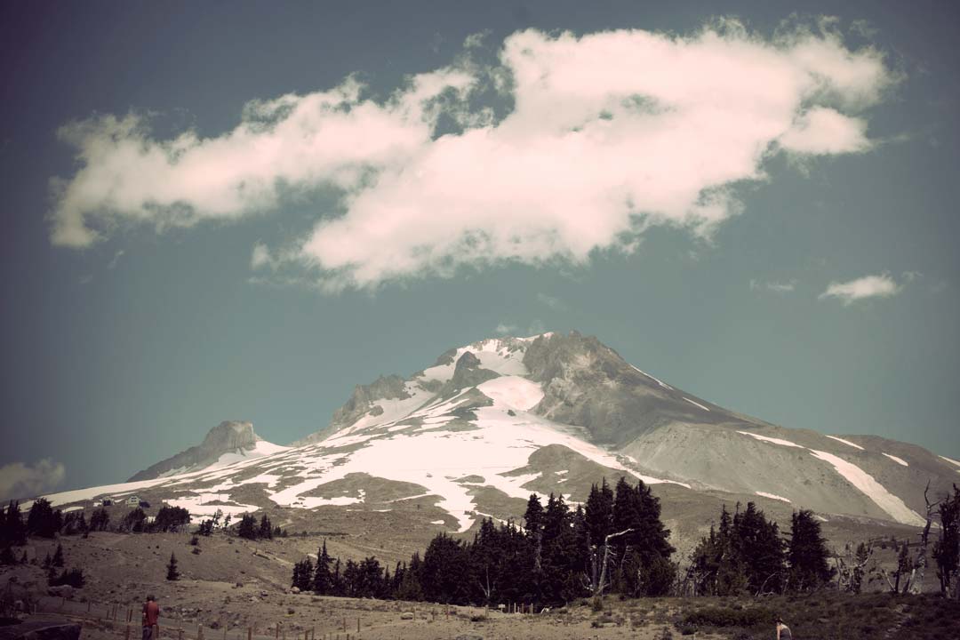 Step 2 - Trading Course